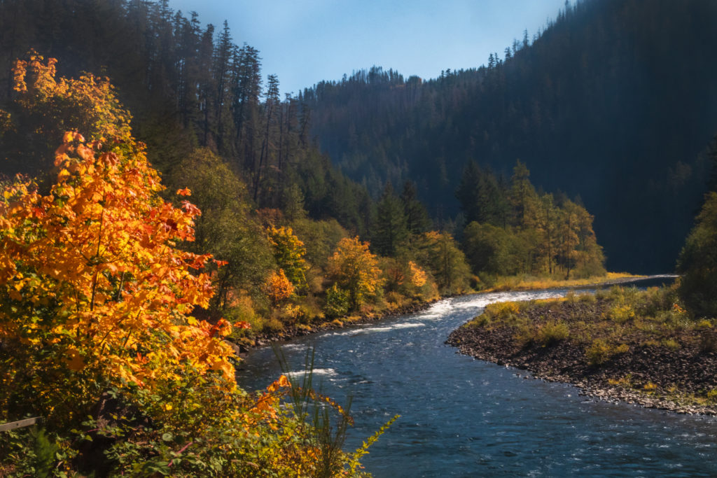 Autumn Along the Clackamas River