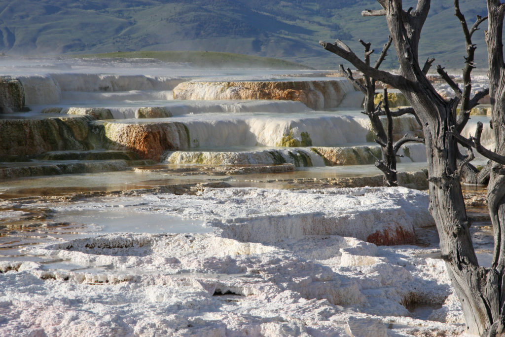 Yellowstone National Park Wyoming