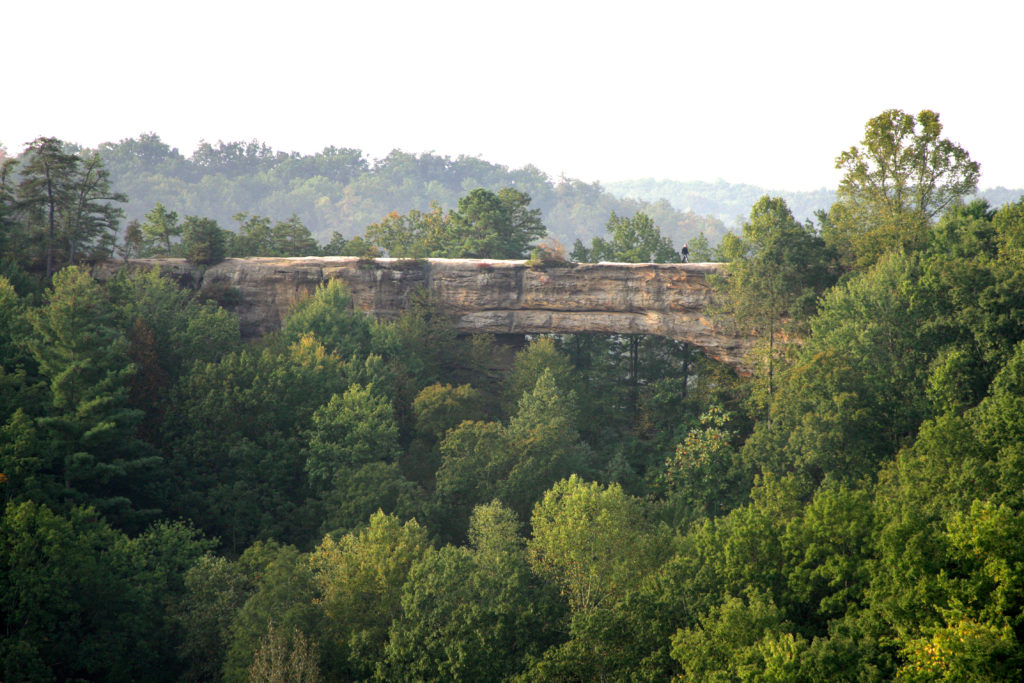 Red River Gorge Natural Bridge