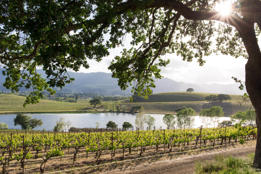 Exceptional Northern California Wine Country