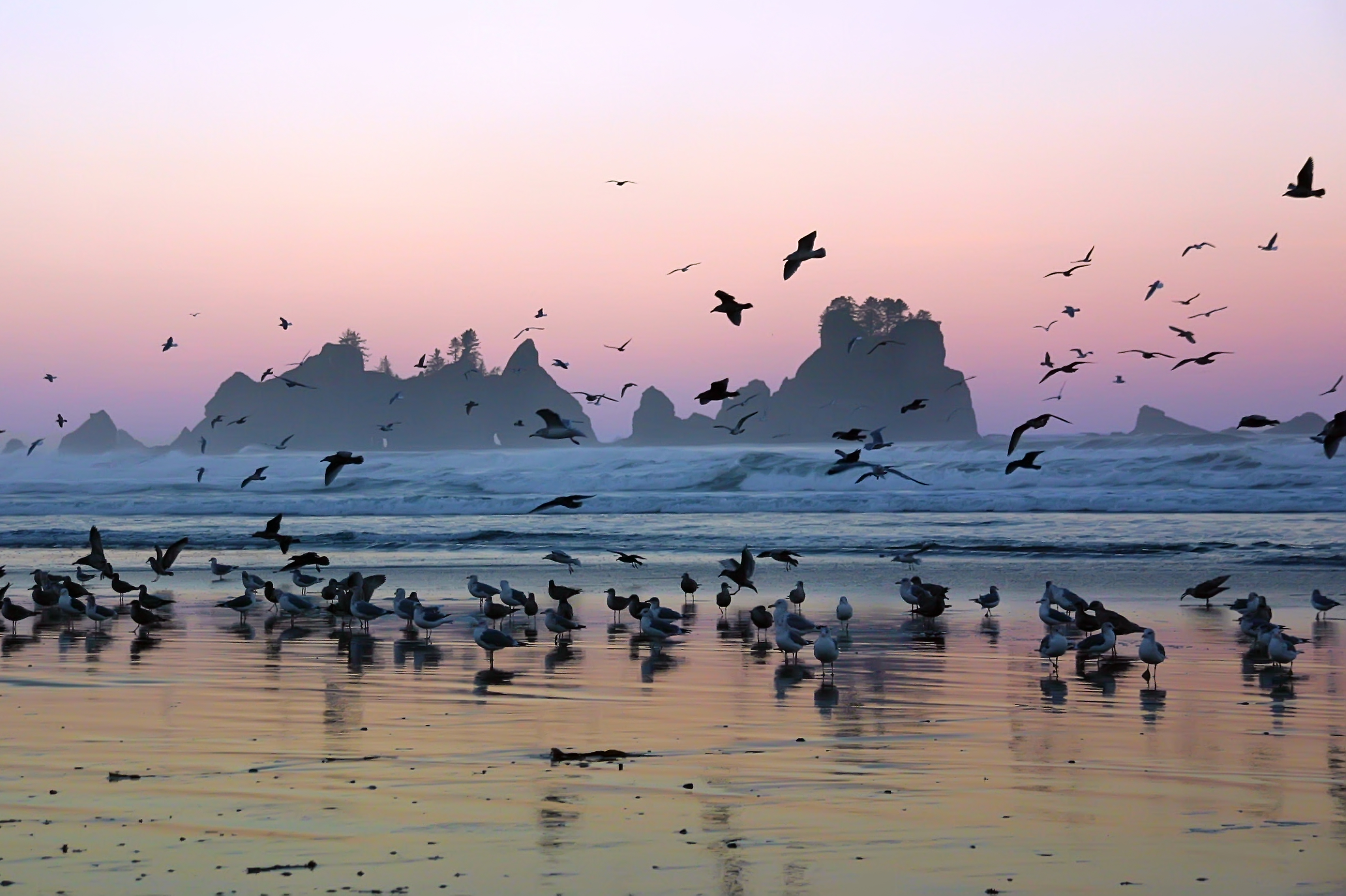 Point_of_the_Arches_Sunrise_Olympic_National_Park