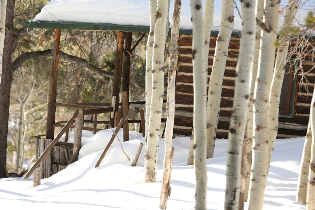 Casper Mountain Cabin - Natrona County