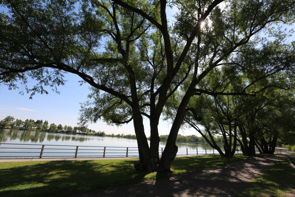 Cheyenne Lions Park Sloans Lake - Laramie County
