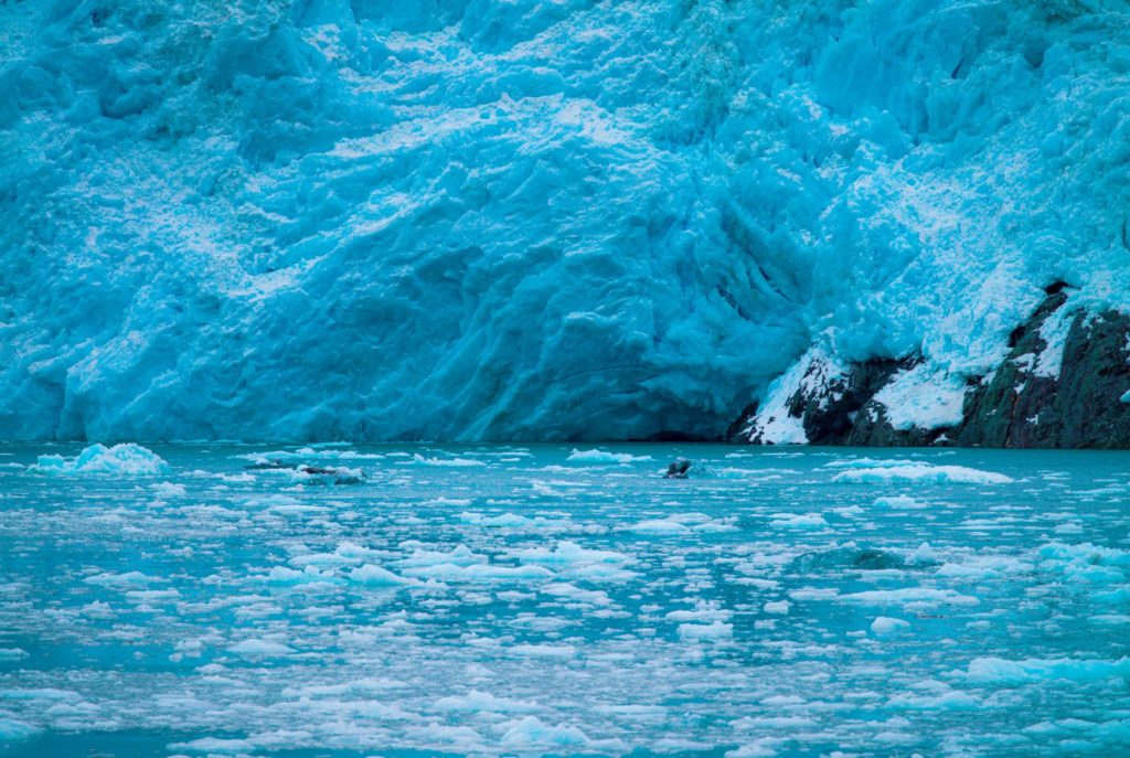 Glacier Seward Alaska